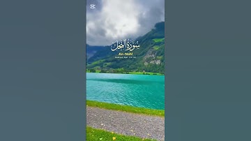 آيات عظيمة من سورة النحل تُعيد شحن إيمانك وتُحيي قلبك | تلاوة هادئة ومؤثرة 🕊️