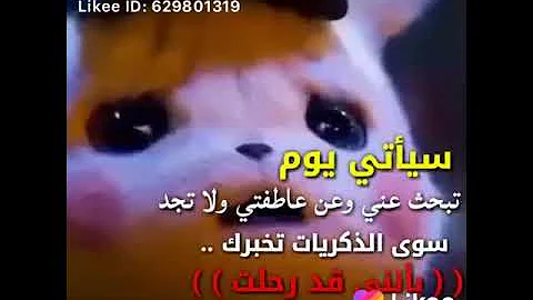 حالات بيكاتشو حزين