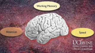 The Distracted Mind - 19th Distinguished Lecture on Brain, Learning and Memory - Dr. Adam Gazzaley