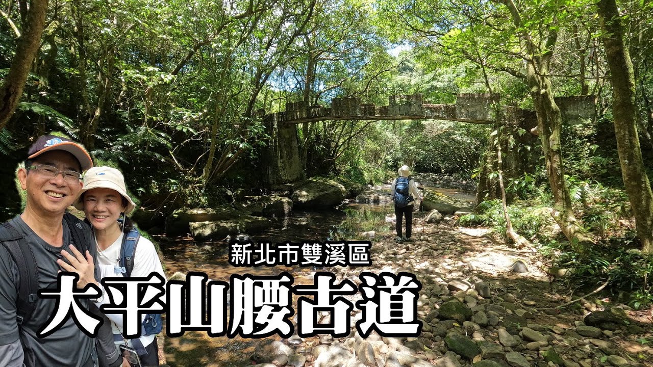 [新北雙溪] 大平山腰古道~絕佳消暑的夏日古道健行路線