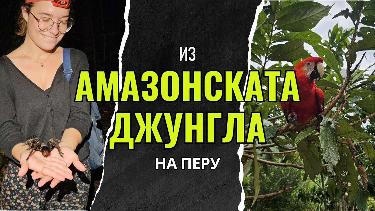Из джунглата на Перу: Пуерто Малдонадо | Видео №68 от Южна Америка