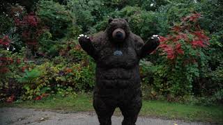Giant Inflatable Boxing Bear Costume - Premium Chub Suit