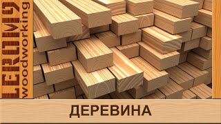 картинка: Що таке деревина?