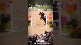 #horse #reiten #equestrian #dressur #pony #springreiten #horseriding #pferde #horselover