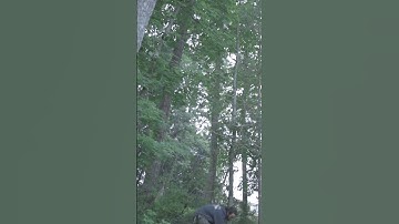 Why You Wear a Hard Hat