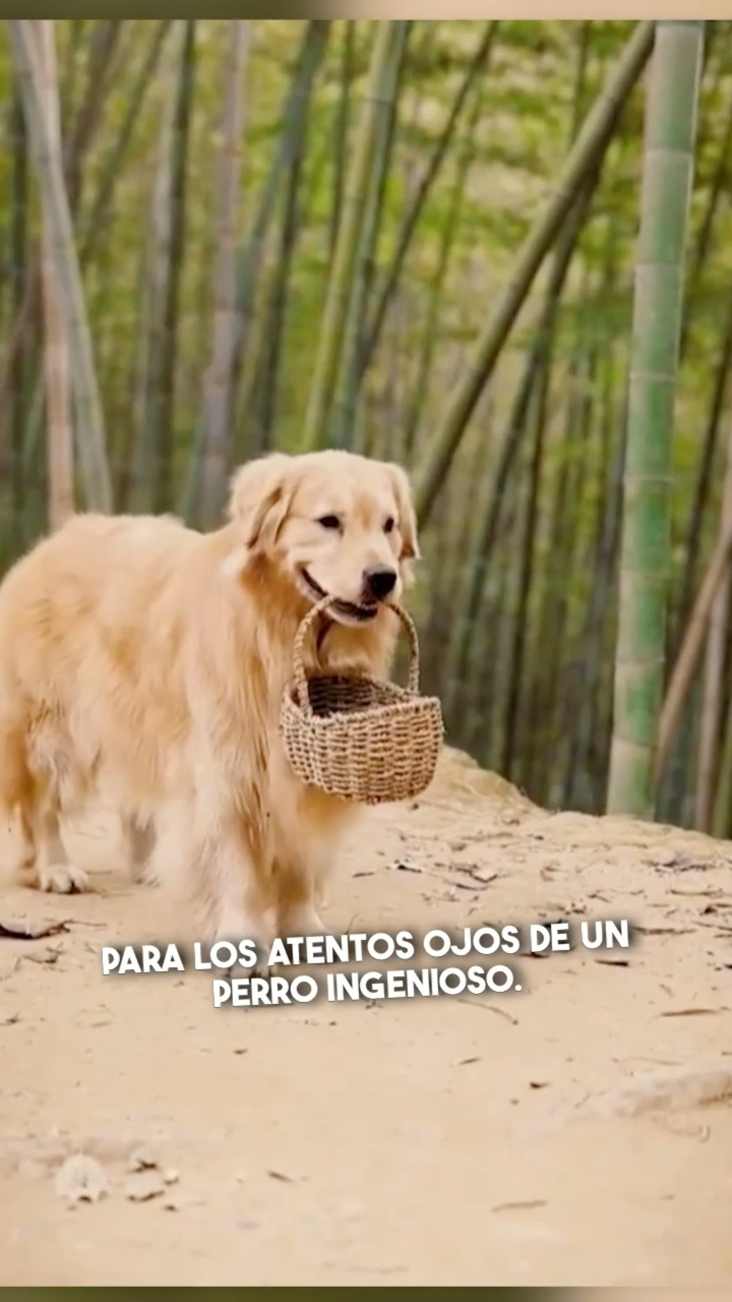 La valentía de este perro te dejará sin palabras ??