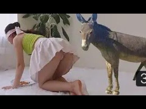 Download Girl Shocked By Her DONKEY who meets for the first time Whis DONKEYS June 28,2021