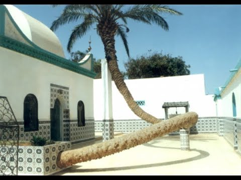 المطربة نورة راس المحنة لشاعر لخضر بن خلوف