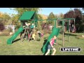 Lifetime Deluxe Swing Set