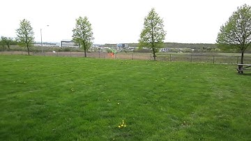 Warthox Naze32 FPV Quad