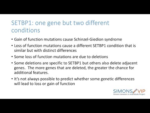 SETBP1 and Schinzel Giedion Syndrome - Dr. Wendy Chung