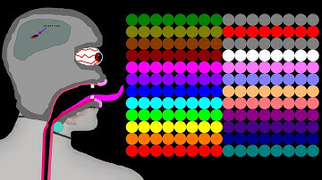 The Amazing 25 Stages Eliminations Marble Race in Algodoo