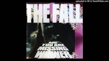 The Fall - The Acute