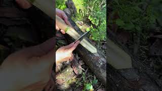 Handmade Bamboo Sword: Kitchen Tool or Deadly Weapon? 🎋 #Handmade #Wilderness Survival #Bushcraft 