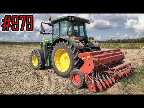 Sowing chamomile - dirty seeds, I sow with John Deere with only the #979 seeder