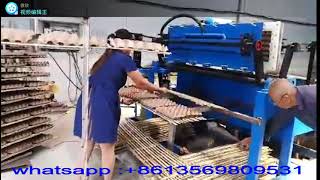 (3) 1*4 1600pcs egg tray per hour sun cure drying machine