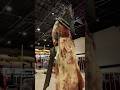 Pyramid Head Cosplay at Scaradise 🤘😳 #silenthill #horror #horrorcosplay