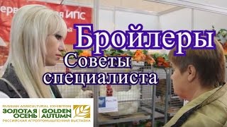 Куры бройлеры. Советы по разведению с Выставки Золотая Осень 2016.(Бройлерные куры. Как правильно вырастить бройлерного цыпленка. Чем кормить цыплят, какие витамины нужно..., 2016-10-11T21:15:34.000Z)