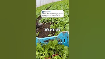 Have you ever accidentally joined the wrong group chat and just stayed?