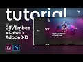 Animation Tutorial ala Gif / Video in Adobe XD 2021