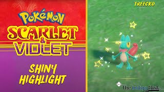 Shiny Treecko REACTION! - Pokemon Scarlet and Violet