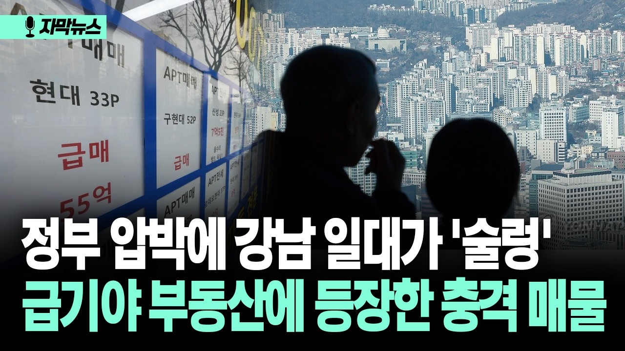 [자막뉴스] 정부 압박에 강남 일대가 '술렁' 급기야 부동산에 등장한 충격 매물