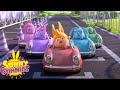 Sunny Bunnies RACING CARS Funny Cartoons For Children 