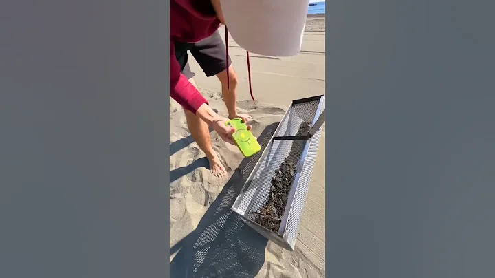 5 Surprising Things You Can Find in Beach Sand #beach #sand #treasure #shorts #fyp