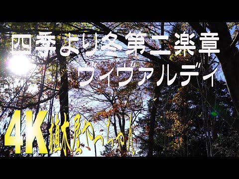 ヴィヴァルディ四季より 冬第二楽章