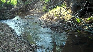 WeHuntSC.com  - How Not to Turkey Hunt