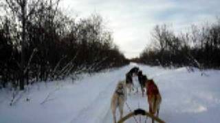 In the sled with Mackey