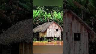 Casas  ribeirinhas