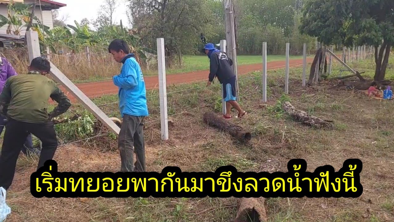 เริ่มทยอยมาขึงลวดน้ำด้านนี้ต่อ เสร็จแล้ว 1 ด้าน#จิตอาสา 