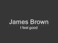 James Brown . I feel good . lyrics