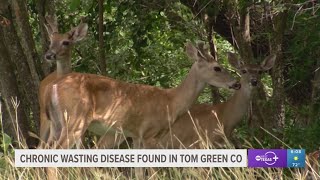 Chronic Wasting Disease Found in Tom Green County