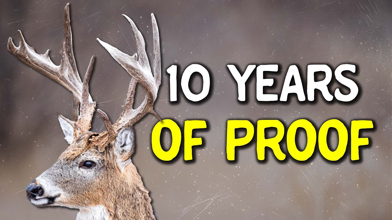 Что нам рассказали о колее за 10 лет наблюдений с камер наблюдения