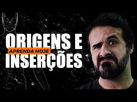 ORIGENS E INSERÇÕES: NUNCA FOI TÃO FÁCIL APRENDER!