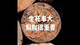 201804 生死事大 解脱很重要20792