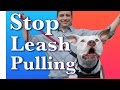 How to Train a Dog to Walk on Leash Without Pulling