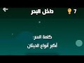 اكبر انواع الحيتان كلمة السر داخل البحر لغز 16 اكبر انواع الحيتان كلمة السر داخل البحر لغز 16