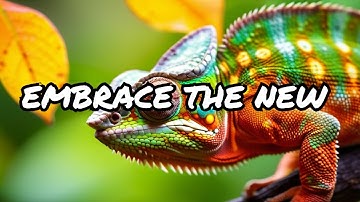 Mastering Change: Embracing Transitions with Confidence