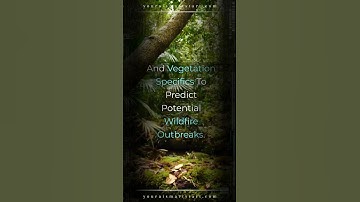 AI in Wildfire Prediction 🔥🤖 - AI FACTS