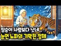 며느리가 산속에 버린 시어머니... 산속에서 호랑이를 도와준 할머니에게 복수로 은혜 갚은 호랑이 | 야담·민담·전설·설화·옛날이야기·오디오북