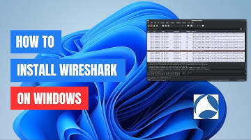 How to Install Wireshark on Windows 11/10: Step-by-Step Guide