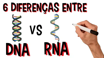 Quais os três tipos de RNA e quais as suas funções?