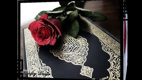 🌸تلاوة مسائية🌸ارح قلبك و سمعك🌸