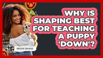 Why Is Shaping Best For Teaching A Puppy 