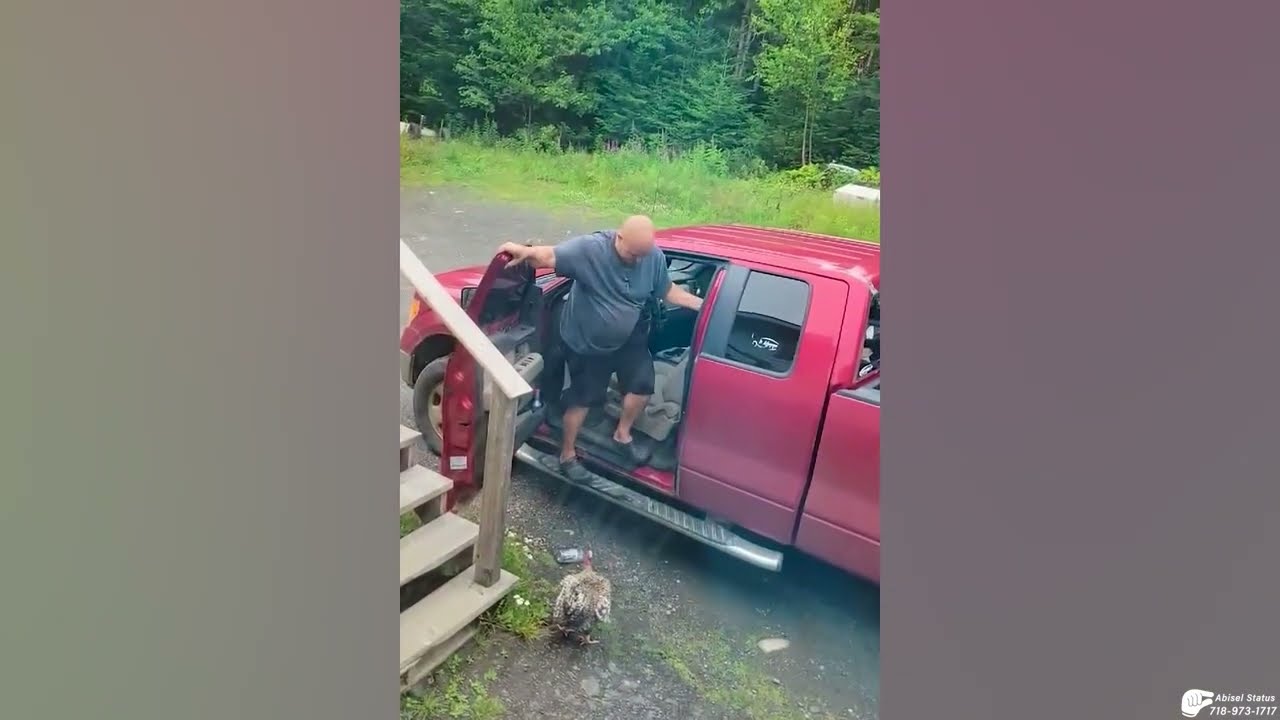 Абисель реагирует #13 😨🐓