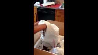 Unboxing ball pythons -9 snakes 1 box!!