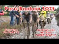 Paris Roubaix 2025 Preview & Past Winners 🚴♂️